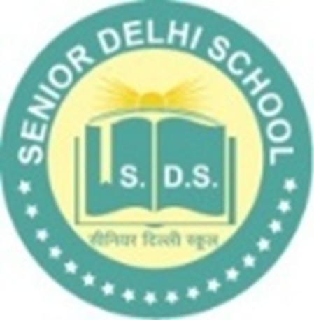 Senior Delhi School